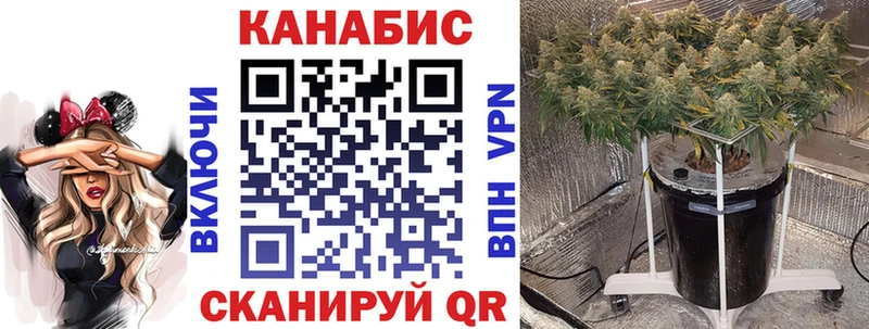 Купить закладки  Болохово  МАРИХУАНА сатива 